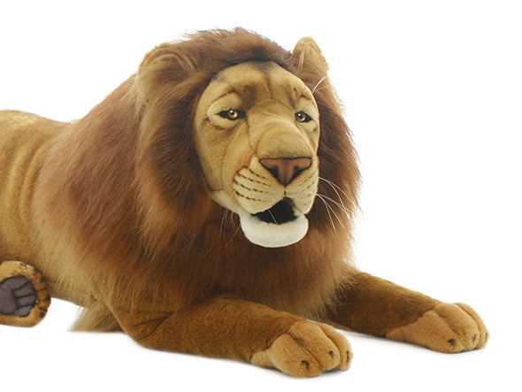 MALE LION