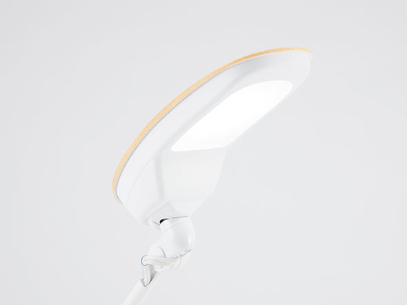 LED DESK LIGHT