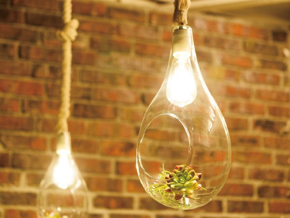 BOTANIC Hanging light