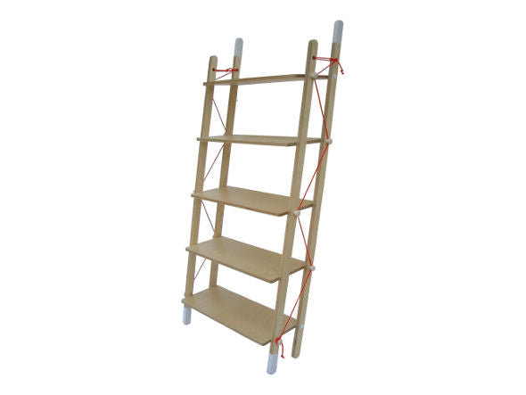 LADDER RACK - double