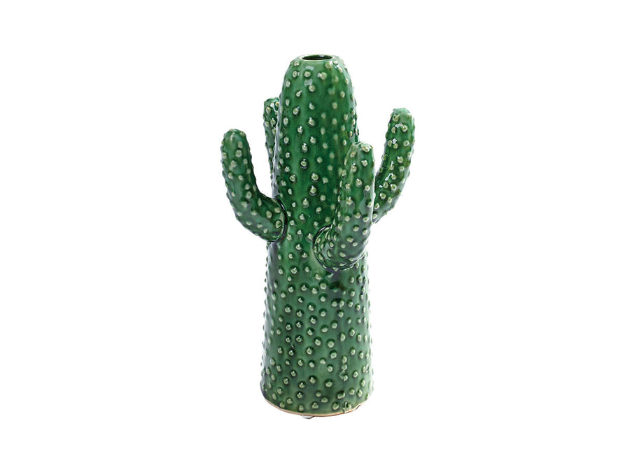 CACTUS MEDIUM