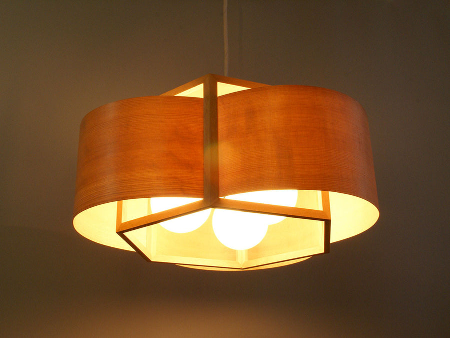 Pendant Light