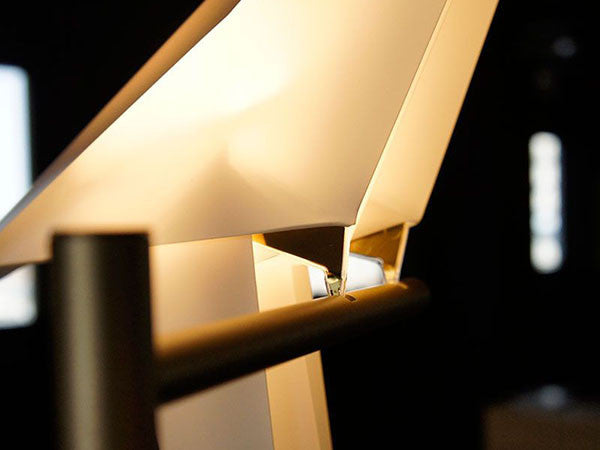 Perch Light Table