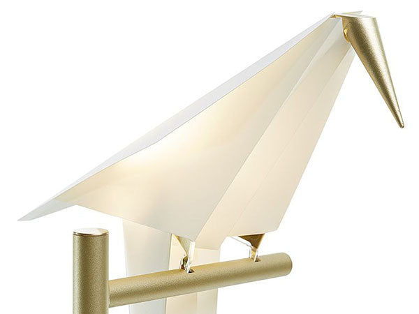 Perch Light Table