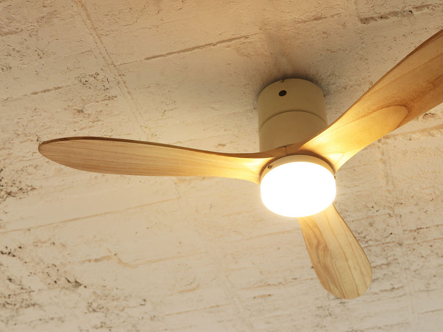 Ceiling Fan