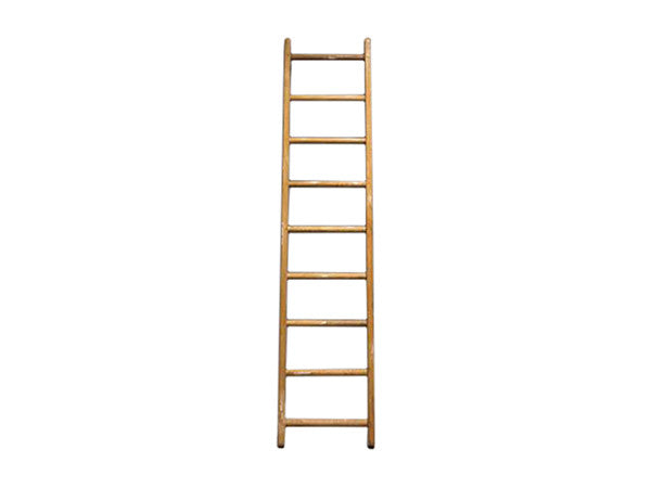 Ladder