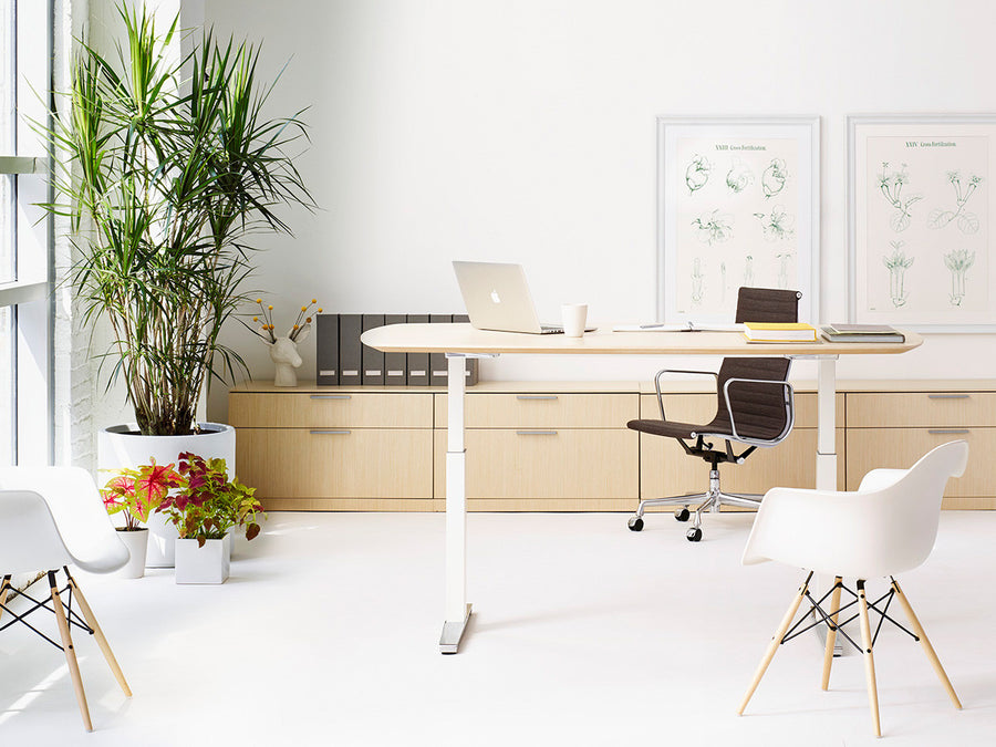 Eames Aluminum Group Executive Chair