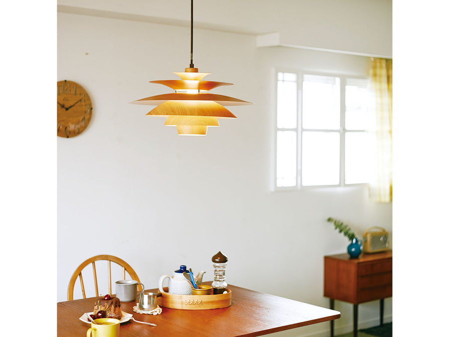 Pendant Light