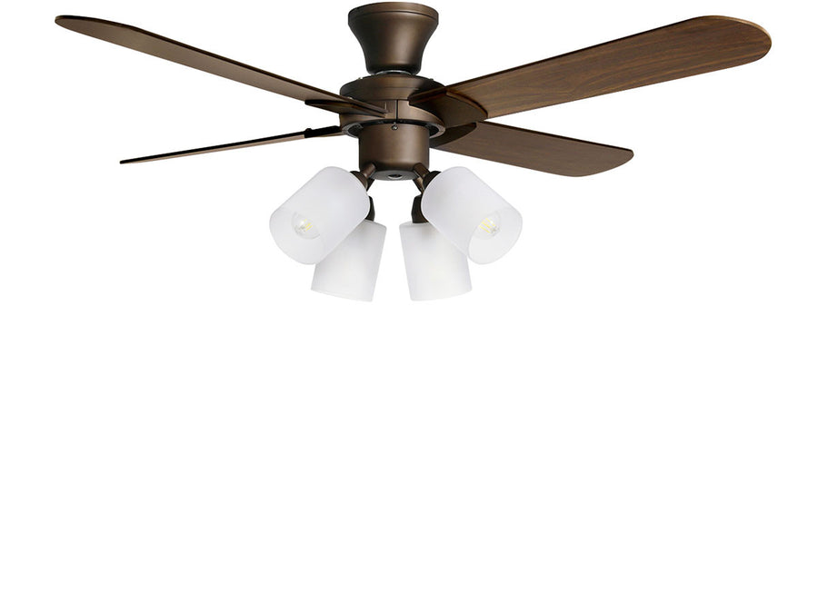 Ceiling Fan