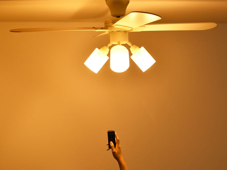 Ceiling Fan