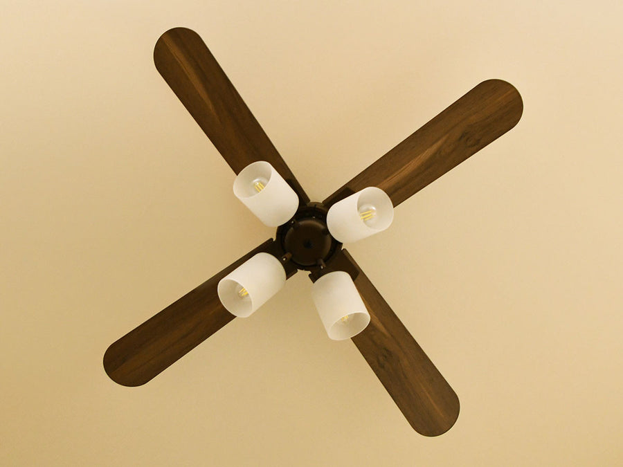 Ceiling Fan