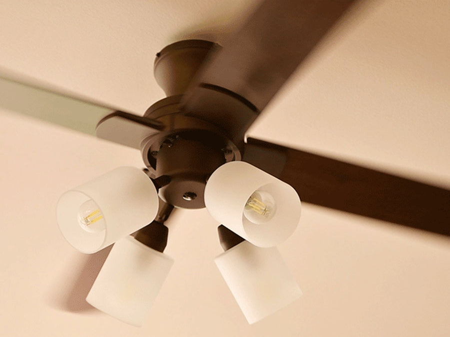 Ceiling Fan