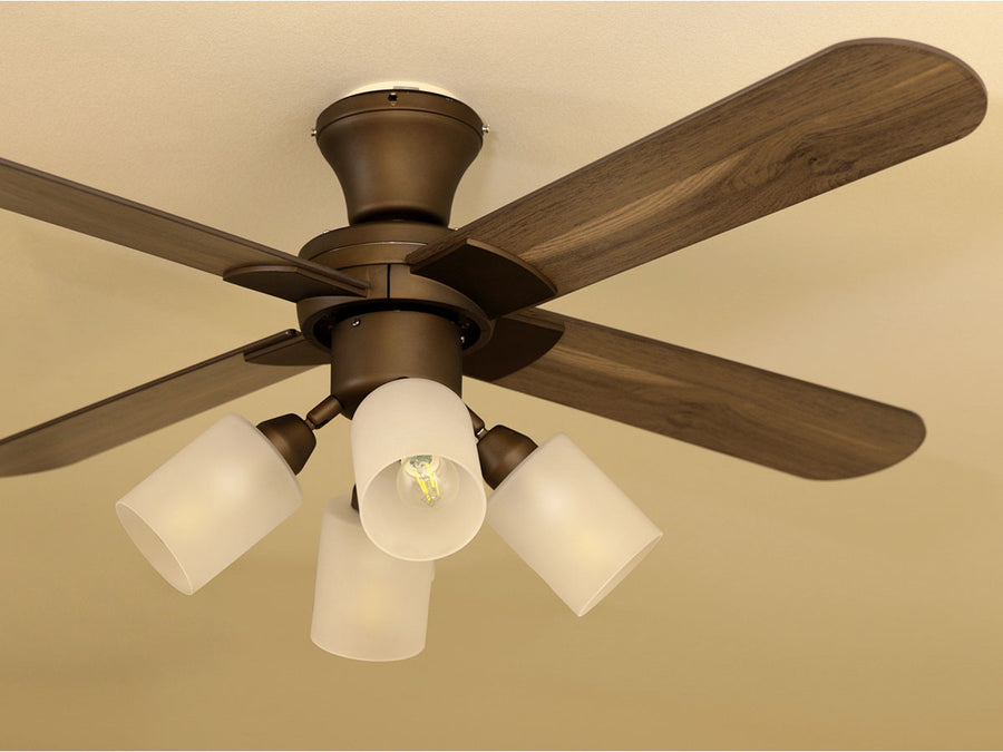 Ceiling Fan