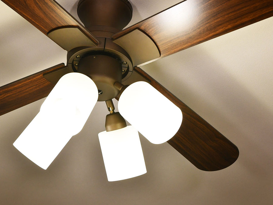 Ceiling Fan