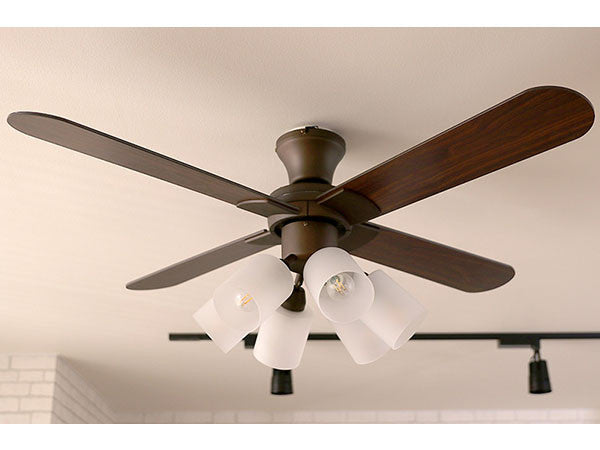 Ceiling Fan