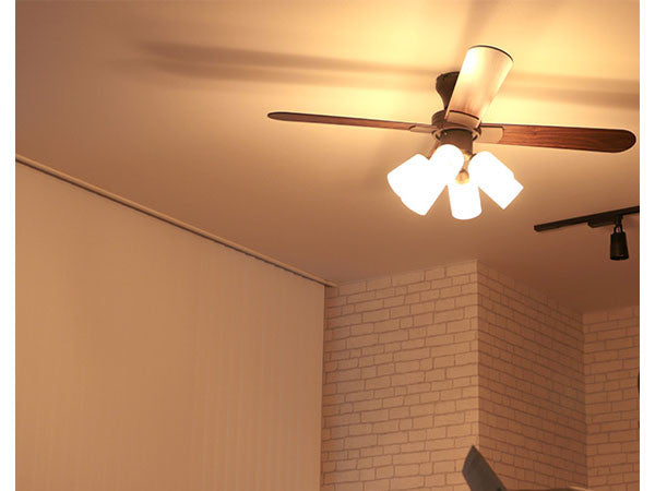 Ceiling Fan