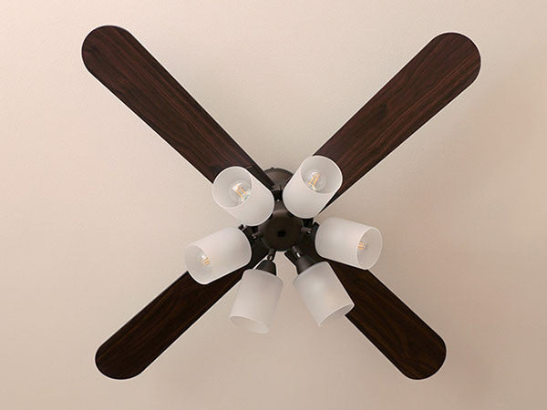 Ceiling Fan