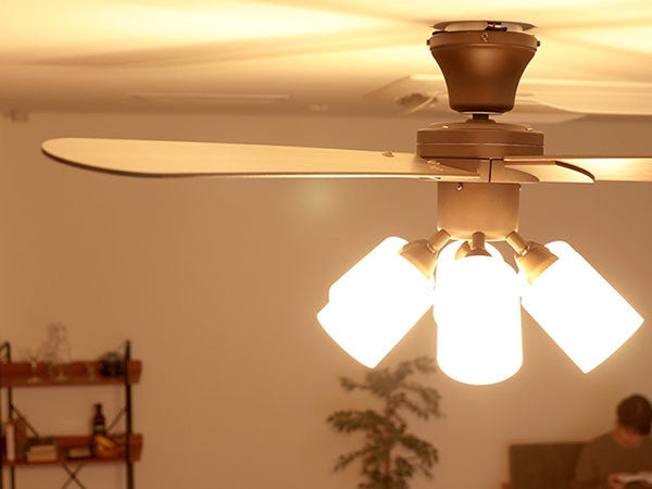 Ceiling Fan