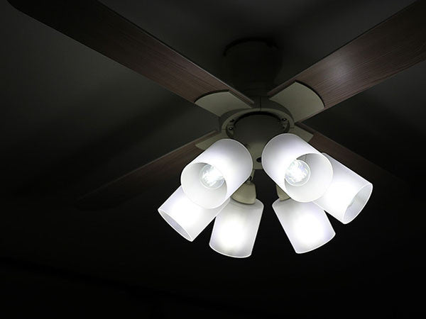 Ceiling Fan