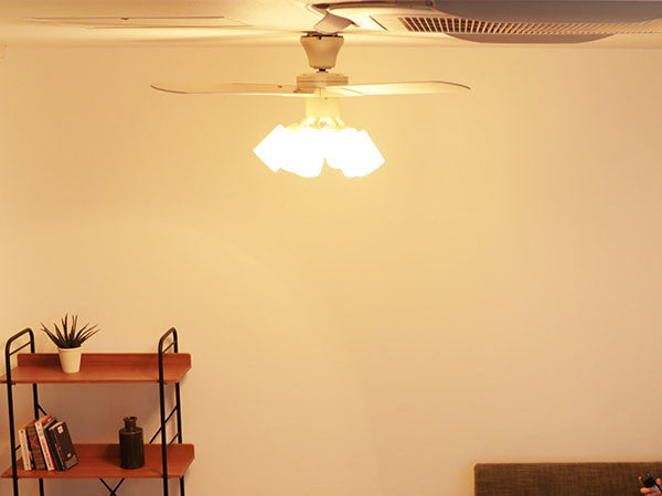 Ceiling Fan