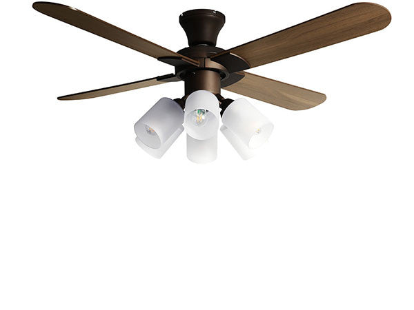 Ceiling Fan