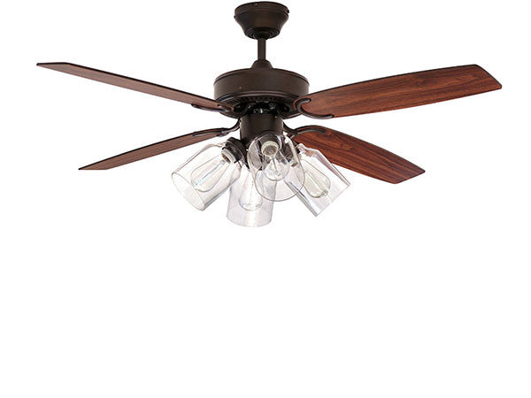 Ceiling Fan