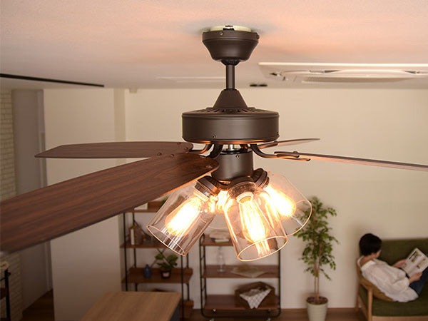 Ceiling Fan