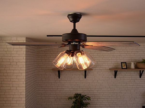 Ceiling Fan