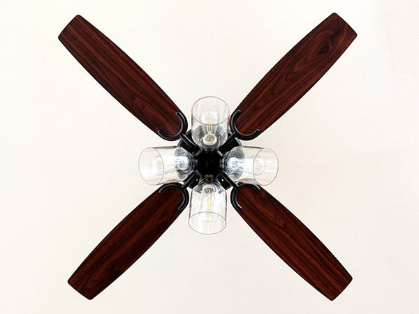 Ceiling Fan