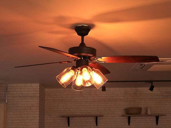 Ceiling Fan