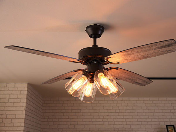 Ceiling Fan