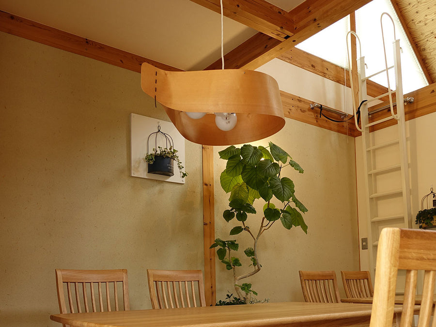 Pendant Light