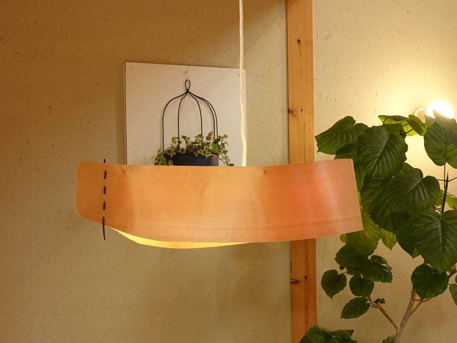 Pendant Light