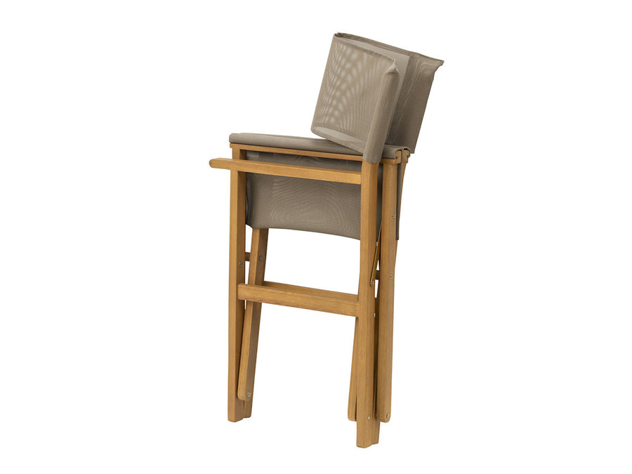 Carry Director Chair