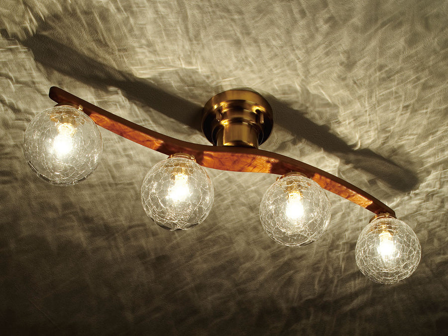 Ceiling Light