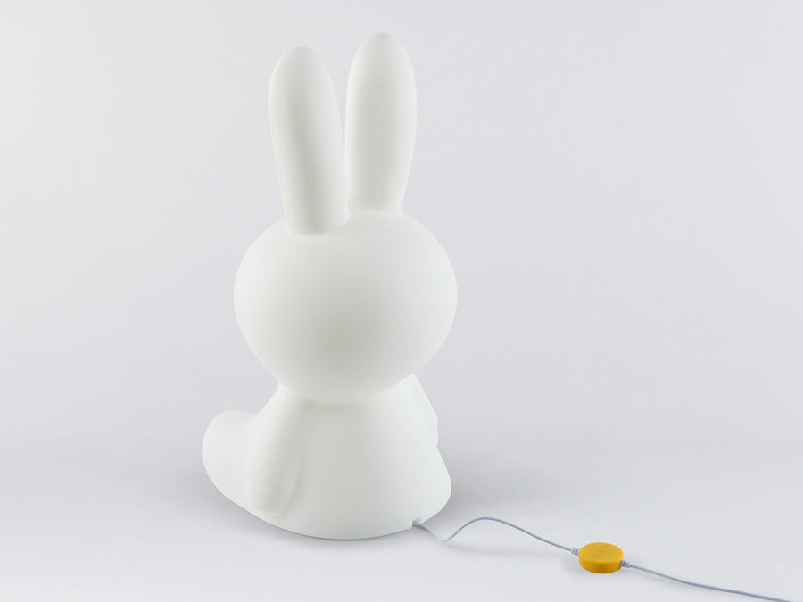 Star Light Miffy