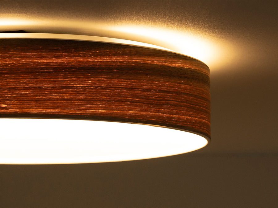 CEILING LIGHT