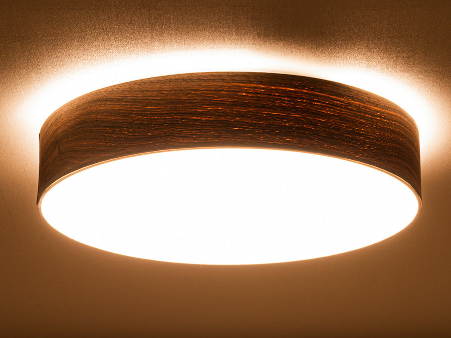 CEILING LIGHT