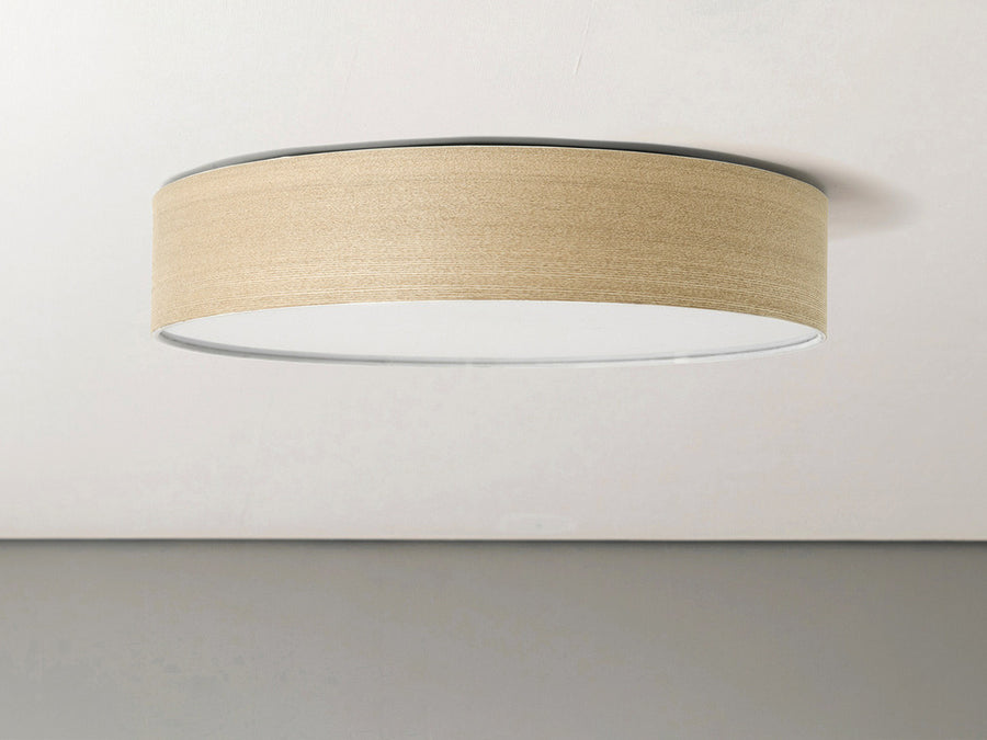 CEILING LIGHT