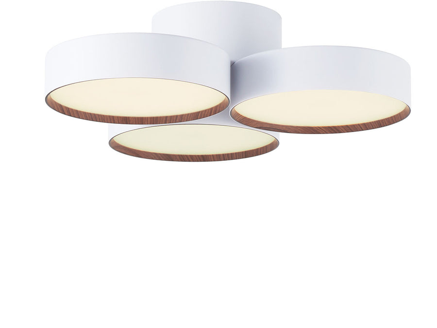 LED Ceiling Lamp