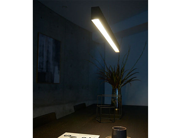 LED Pendant Light