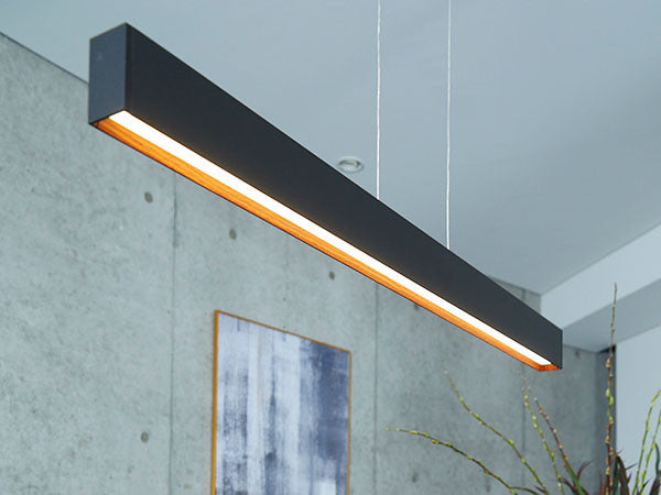 LED Pendant Light