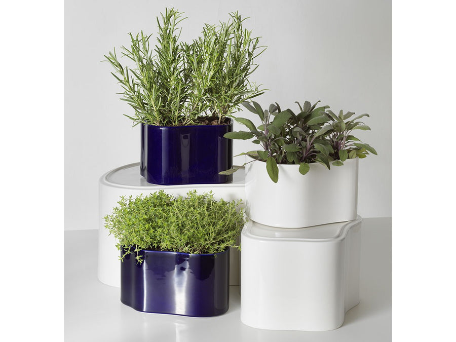 Riihitie Plant Pot B