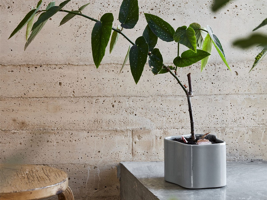 Riihitie Plant Pot A