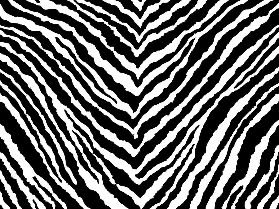 Zebra Seat Cushion