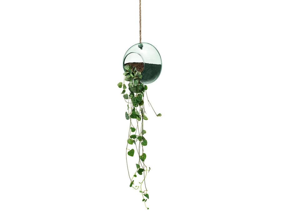 CANOPY HANGING PLANTER