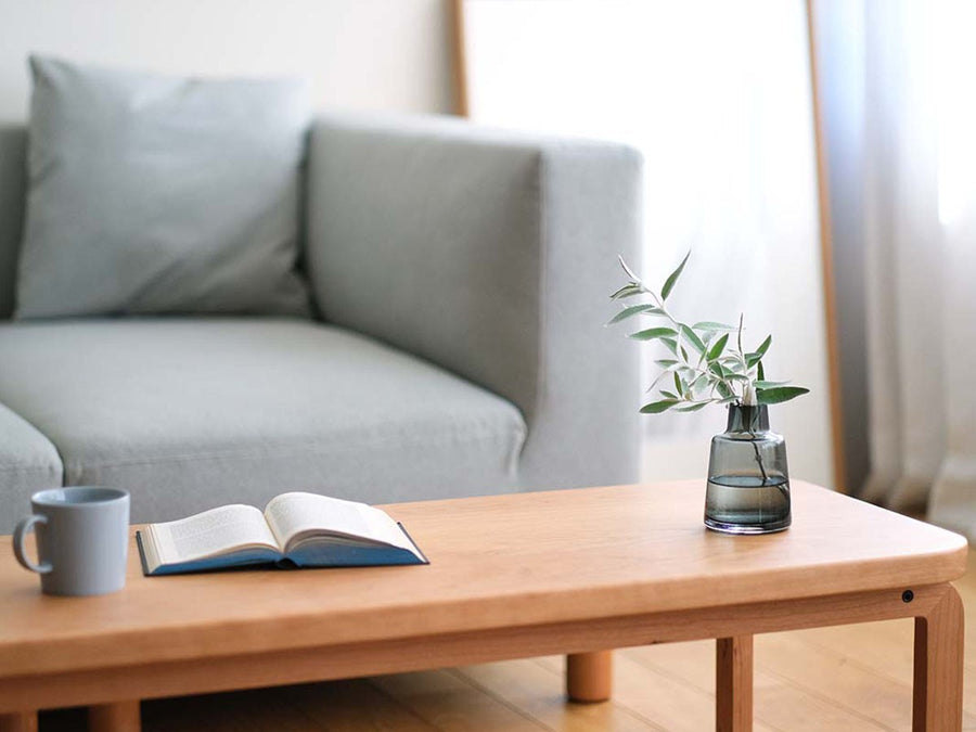 COCCO COFFEE TABLE