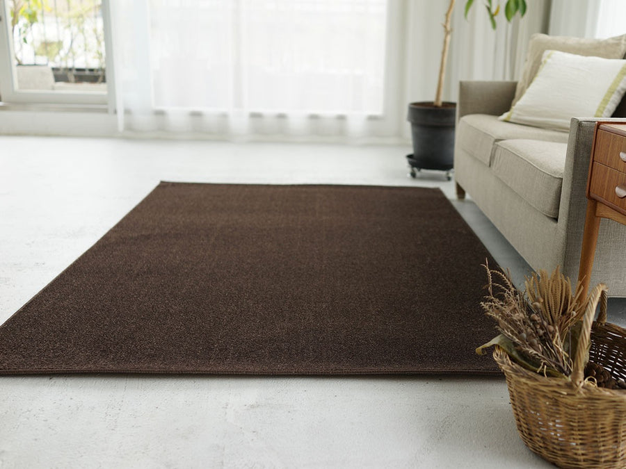 Rug