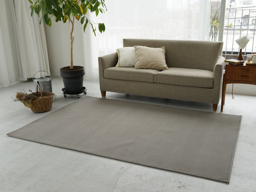 Rug