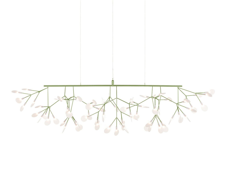 Heracleum III Linear